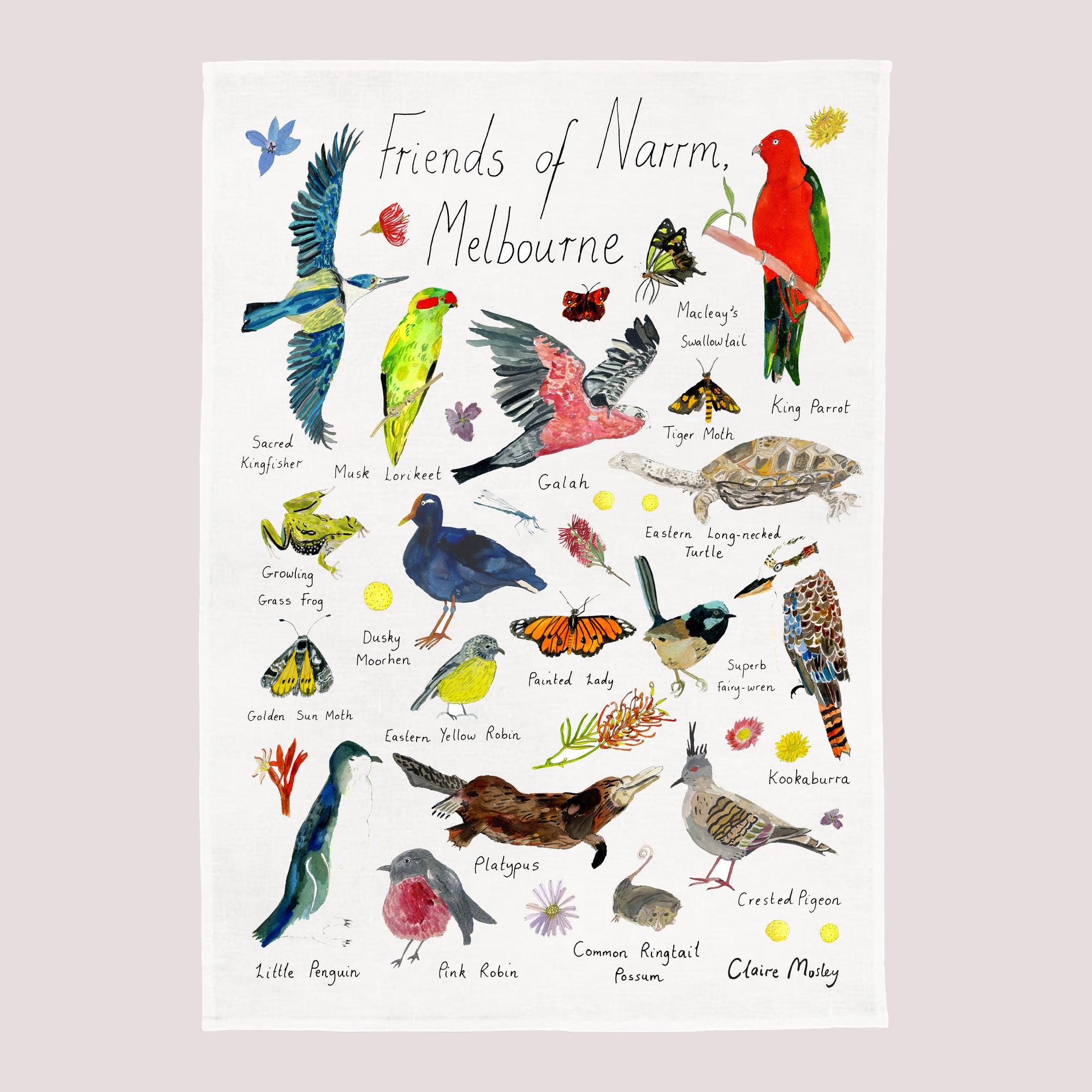 A Tea Towel ~ Friends of Narrm