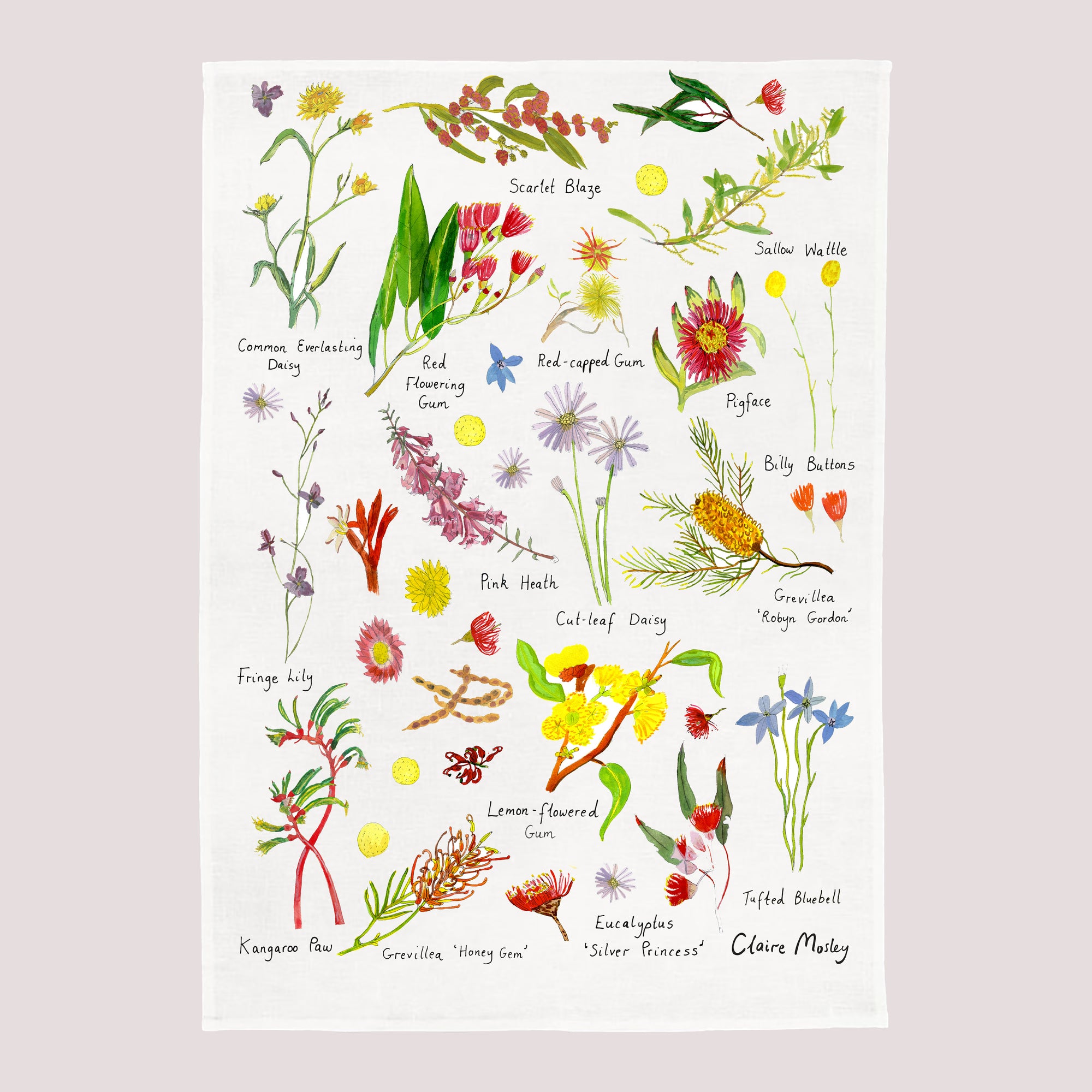 A Tea Towel ~ Flowers of Australia